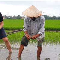 Farming and Fishing Life Experience (Small Group Bicycle Tour)