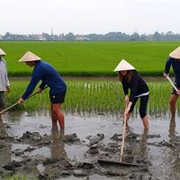 Farming and Fishing Life Experience (Small Group Bicycle Tour)