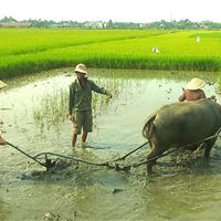 Farming and Fishing Life Experience (Small Group Bicycle Tour)