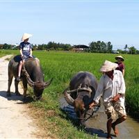 Farming and Fishing Life Experience (Small Group Bicycle Tour)