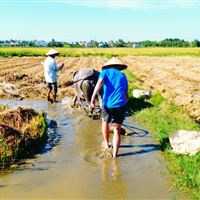 Farming and Fishing Life Experience (Small Group Bicycle Tour)