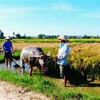 Farming and Fishing Life Experience (Small Group Bicycle Tour)